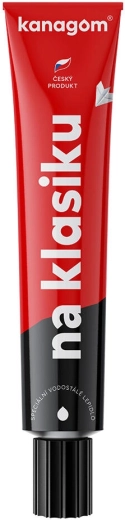 Vodoodporno lepilo Kanagom 40 g