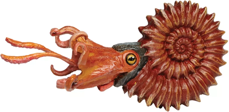 Safari Ltd. amonit – ročno poslikana figurica