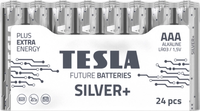 Alkalne baterije Tesla Silver+ LR03 24 kos