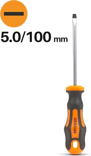 Ploščati izvijač 5,0 × 100 mm