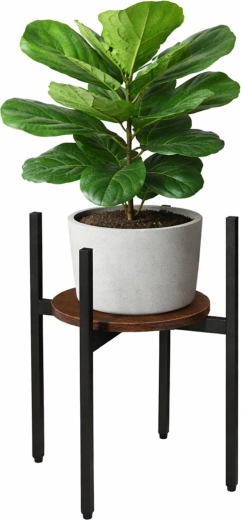 Renew Force plant stand in loft style, black with wood-effect finish