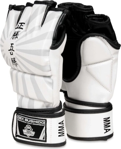 MMA rokavice DBX Bushido e1v7 – L