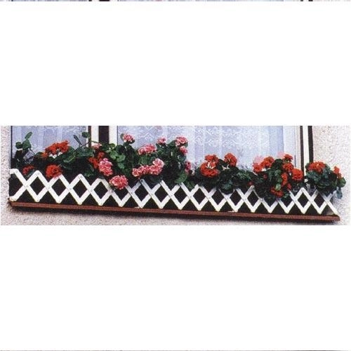 Okenska gredica 70–80 cm bela