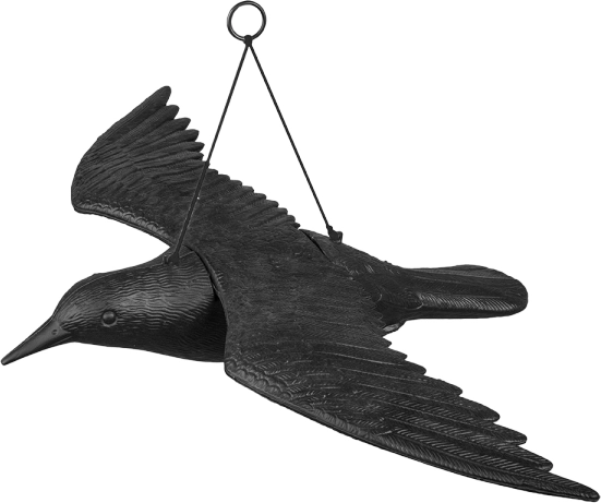 viseči strašilo proti pticam krokar