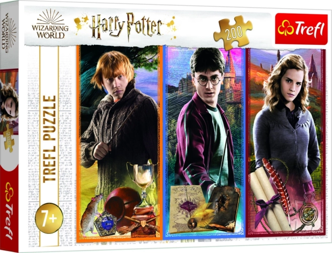 Sestavljanka HARRY POTTER 200 kosov v svetu magije in čarovnije