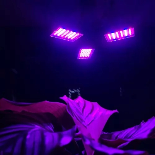 Svetilka 108 LED za rast rastlin Gardlov 20440