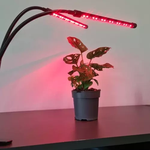 Lučka 20 LED 2 kosi za rast rastlin