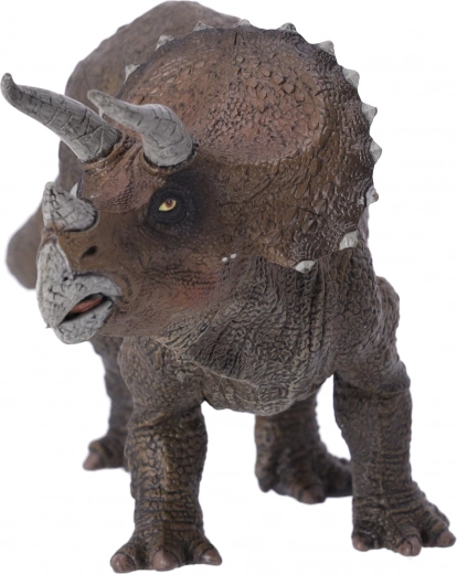 Odlično za vse starostne skupine