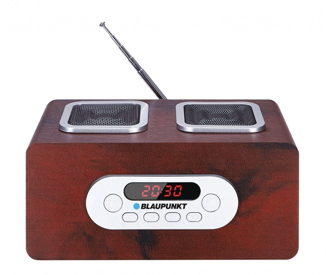 Prenosni radio predvajalnik s SD/USB