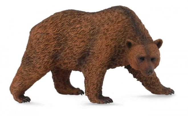 Rjavi medved