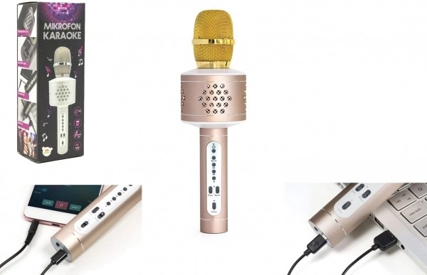 Bluetooth karaoke mikrofon z zvočnikom in echo efektom – Zlata