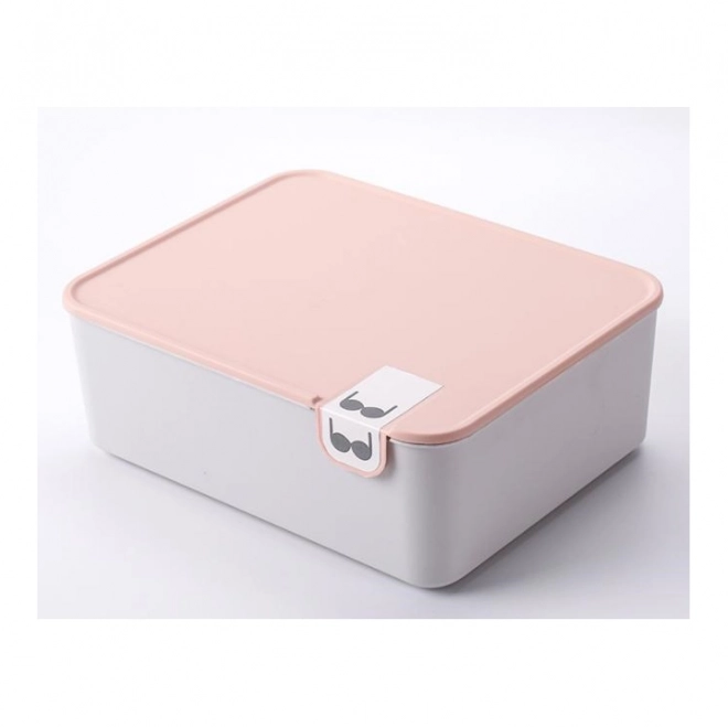 Organizator predalnika z 10 predalčki