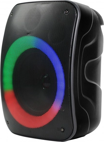 Bluetooth zvočnik Stage 300
