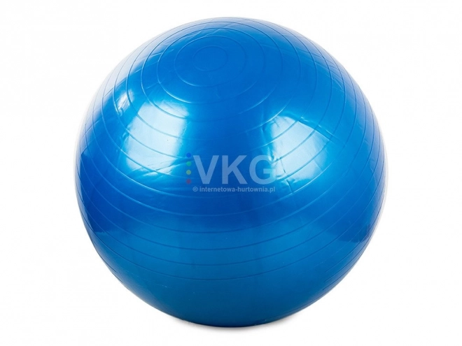 Gimnastična žoga Fitness 65 cm s tlačilko