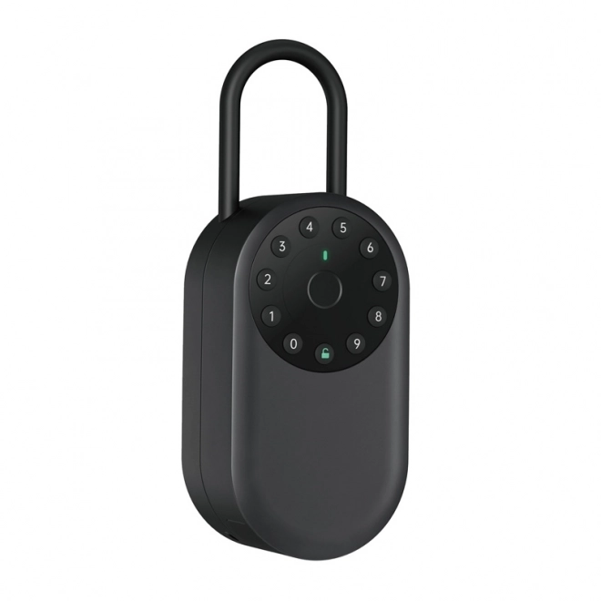 Pameten sef z odtisom prsta Lockin YEEUU