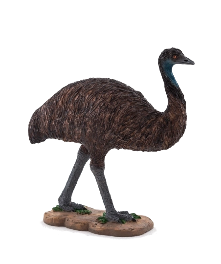 Mojo Živalski Planet Emu