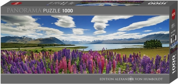 1000 kosov za prijeten izziv