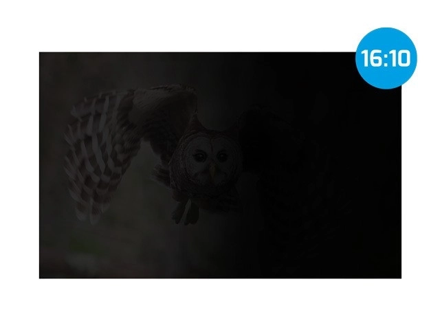 Zaščitni filter za osebne podatke Natec Owl 16 palcev 16:10