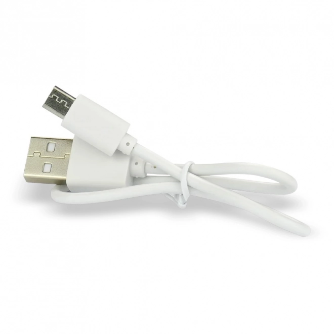 Polnilna baterija EverActive 16340 700 mAh z micro USB