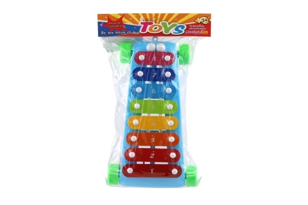 Xilofon plast/kovač 24cm s paličkami 2 barvi v vrečki 19x31x6cm