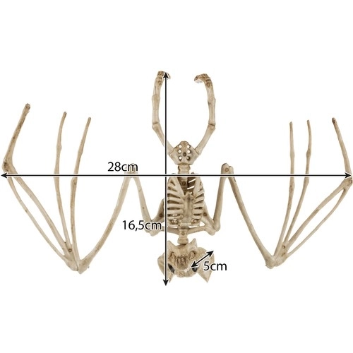 Okostje netopirja - dekoracija 30 cm Malatec