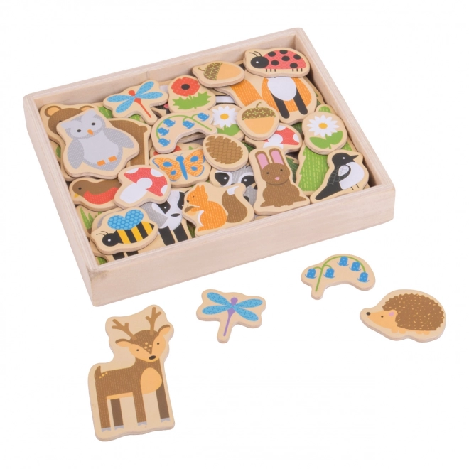 Bigjigs Toys Magnetki gozdne živali