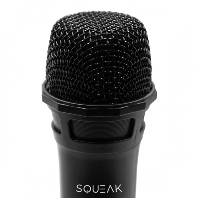 Set mikrofonov za karaoke VocalDuo s 30m dosegom