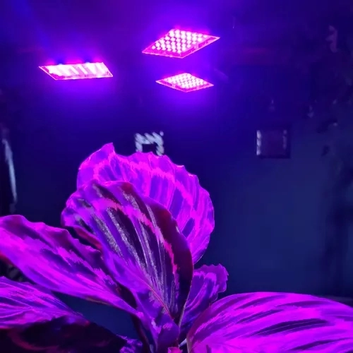 Svetilka 108 LED za rast rastlin Gardlov 20440