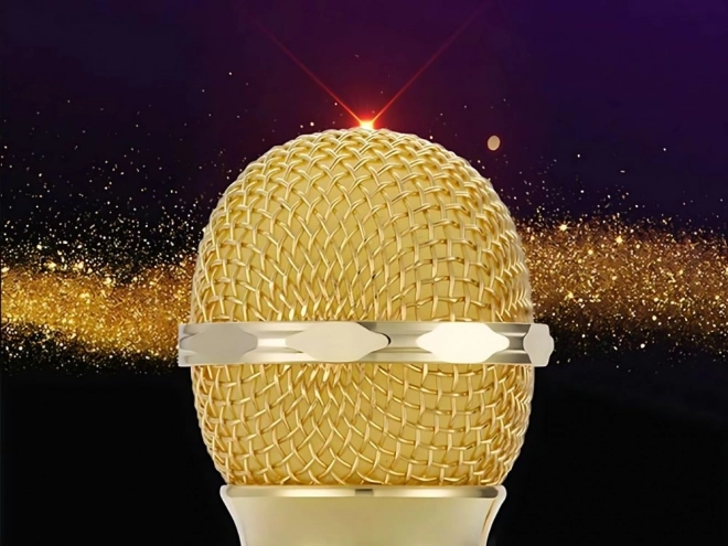 Brezžični bluetooth mikrofon karaoke