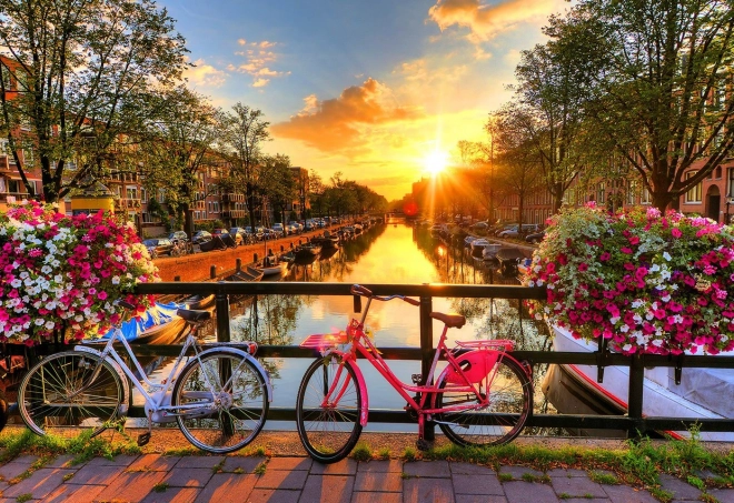 Lesena sestavljanka kolesa v Amsterdamu