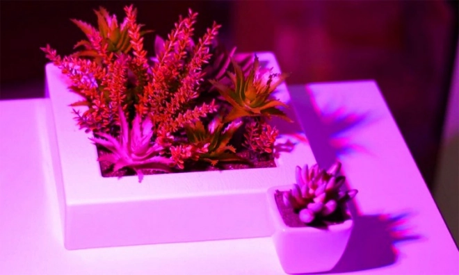 LED žarnica za rast rastlin 200 LED E27