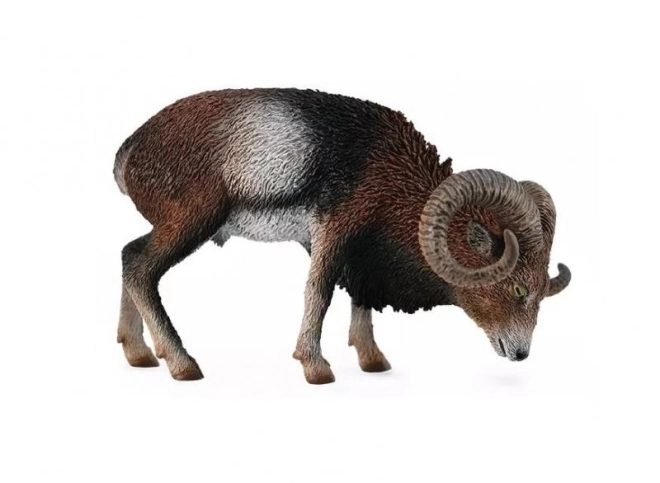 Evropski muflon