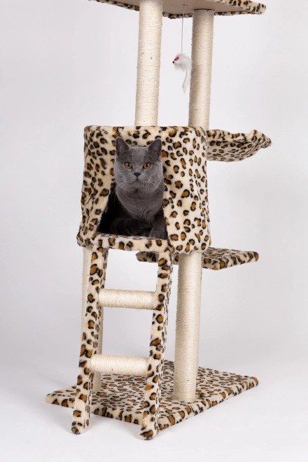 Praskalnik za mačke, hišica, drevo, postelja, 138cm xl, Panther