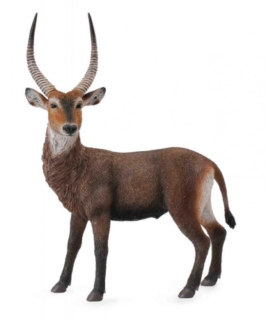 Antilopa Vodna CollectA