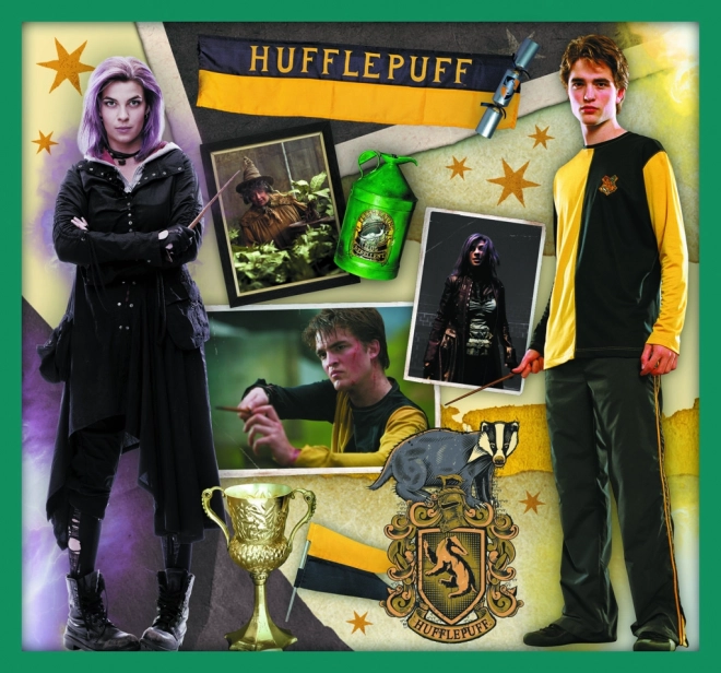 Sestavljanka Harry Potter - V svetu Harryja Potterja 10v1