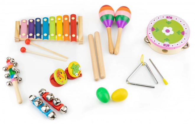 Glasbeni komplet 14 inštrumentov + torba Ecotoys
