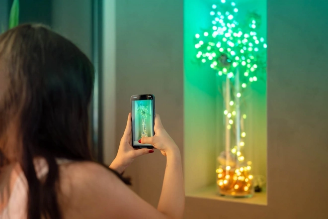 Veriga pametnih dekorativnih lučk USB-C (Bonboni) 100 LED RGB, svečke, zeleni kabel, 6 m