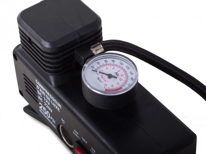 Avtokompresor 12V/230V