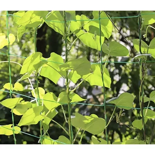 Mreža - opora za rastline 2x20m Gardlov 23980