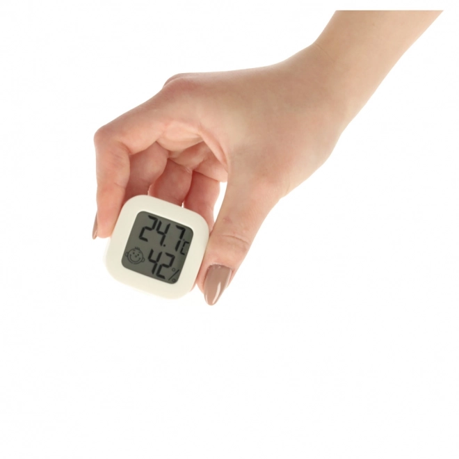 Higrometer in sobni termometer LCD