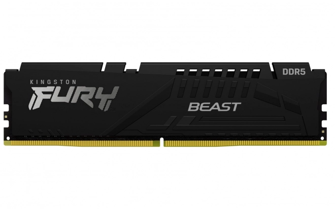 Pomnilnik Kingston Fury Beast DDR5 32GB 6000MHz CL30 EXPO, črna