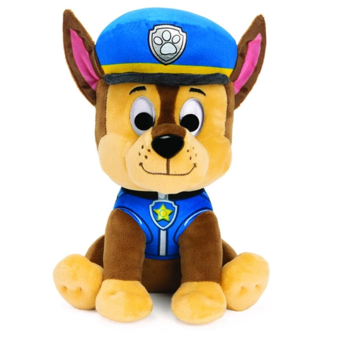 Podrobna policijska uniforma