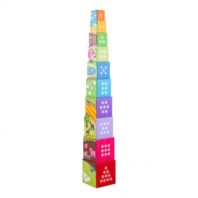 Bigjigs Toys Didaktične kocke farma