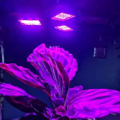 Svetilka 108 LED za rast rastlin Gardlov 20440