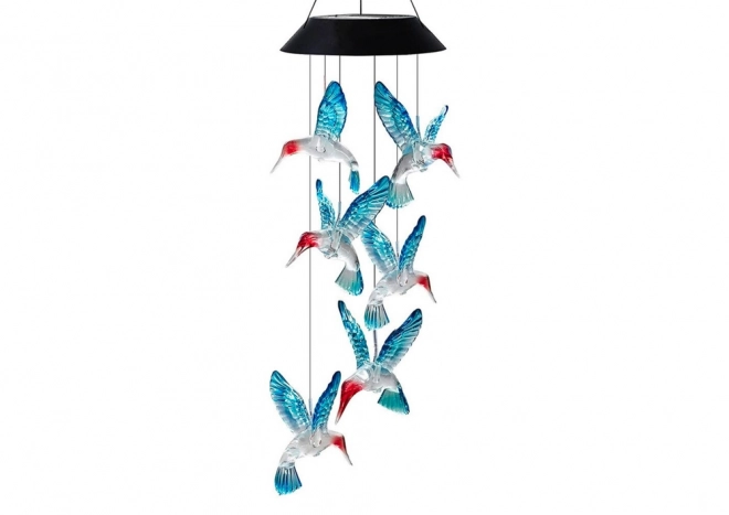 Sončna svetilka Kolibri LED barve
