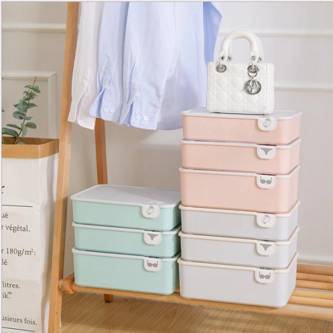 Organizator predalnika z 10 predalčki