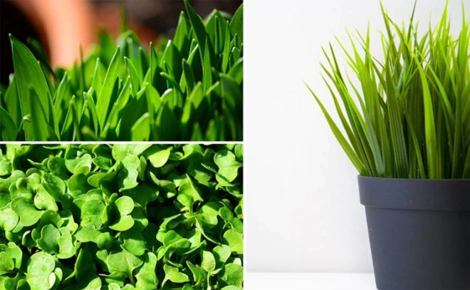 LED žarnica za rast rastlin 200 LED E27