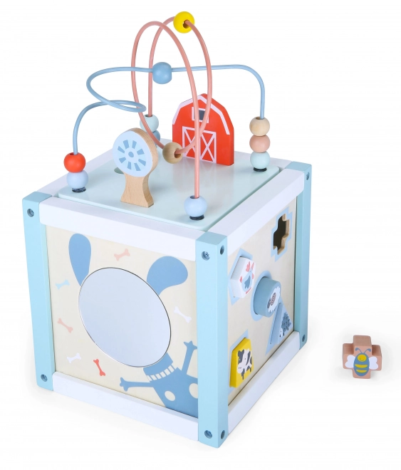 Lesena sortirna kock s kockami Ecotoys