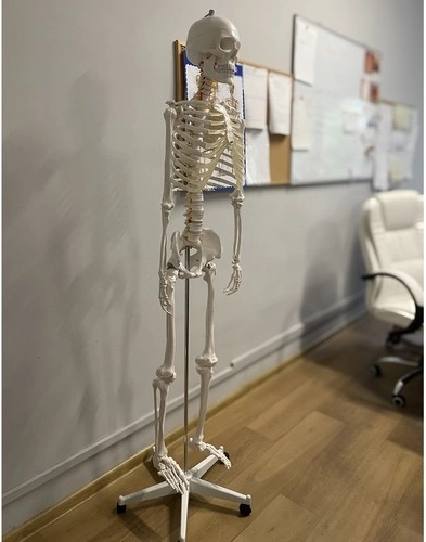 Dejanska velikost 1:1