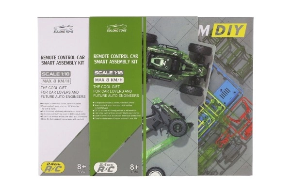 Avto RC buggy plast 22 cm komplet 24MHz na baterije zelene v škatli 34x25x7cm